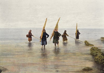 La Pesca ai Gamberetti da European Photographer